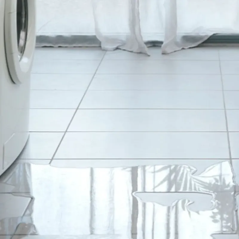 Appliance Leak Cleanup in Duplin County, NC