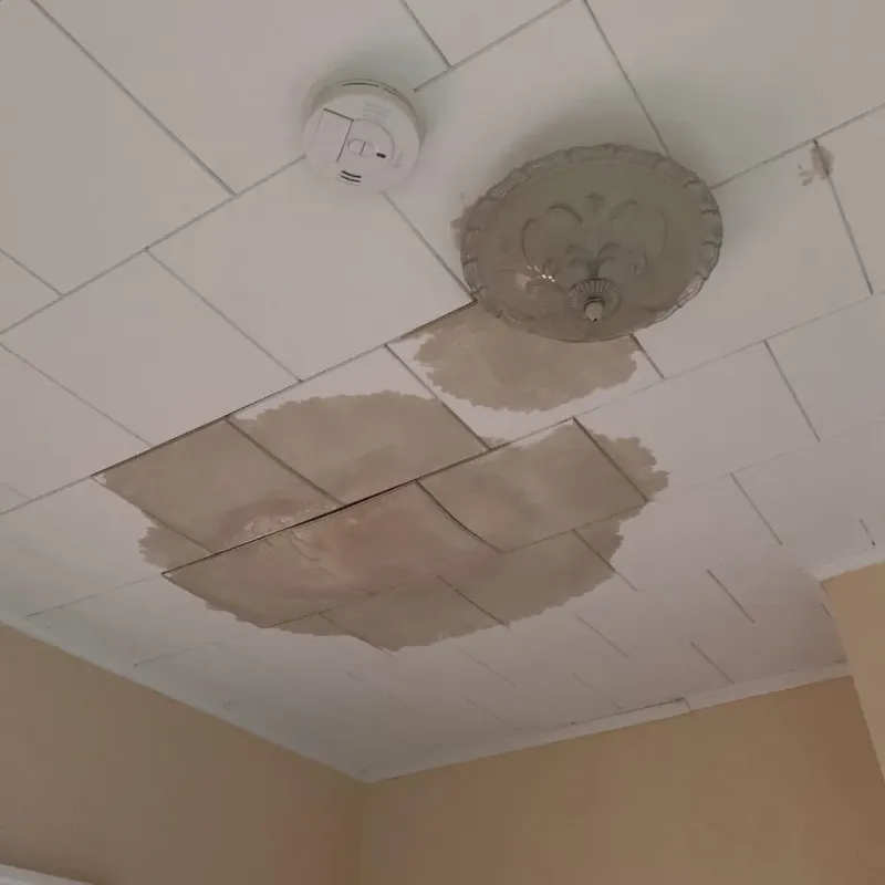Ceiling Water Damage Repair in Duplin County, NC