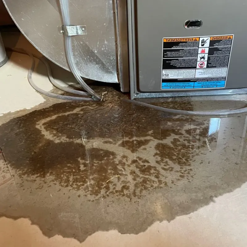 Pipe Burst and Leak Restoration in Duplin County, NC